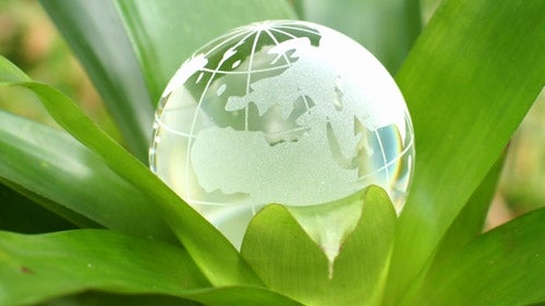 Green Business Standards and Certifications