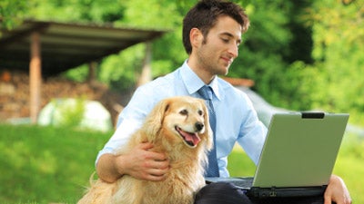 what-my-dog-taught-me-about-social-media-marketing