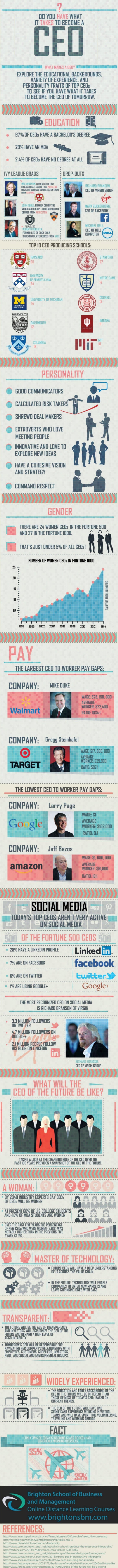 Do-you-have-what-it-takes-to-be-a-CEO-Infographic
