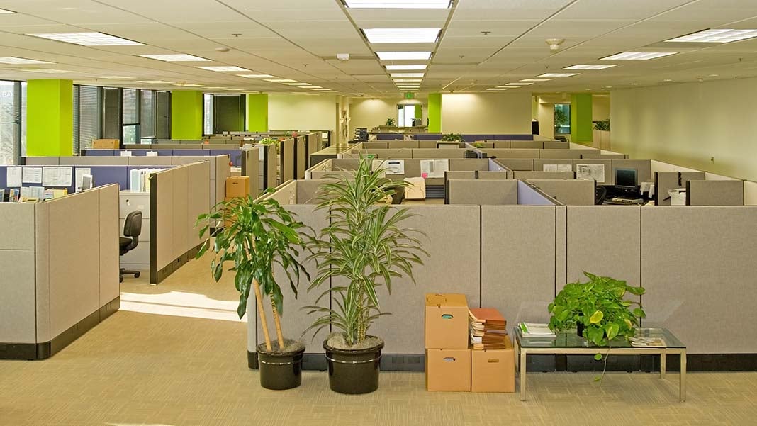 How to Design an Office Where People Want to Work