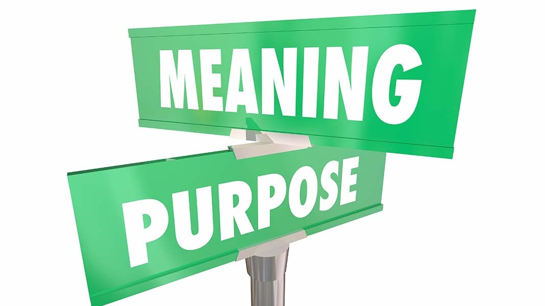 How to Embrace Brand Citizenship for Purpose and Profit