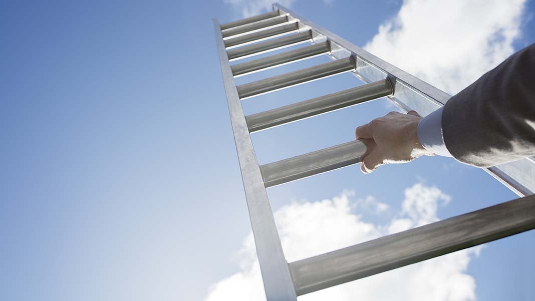 Lessons for Climbing the Life Science Ladder