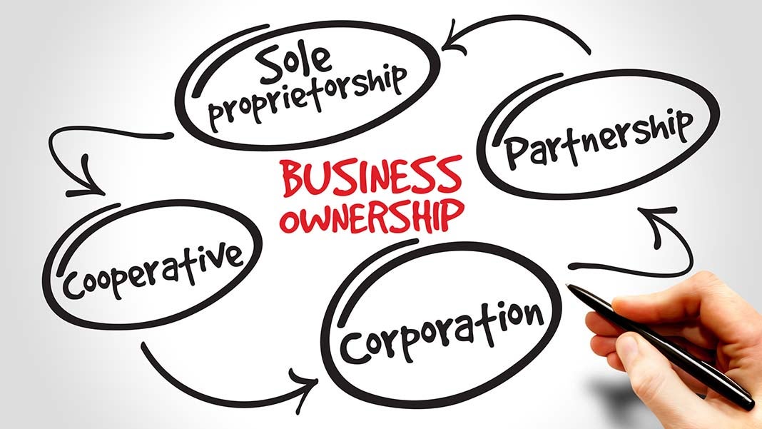 Basics of Business Structure: Choosing the Right Entity for Your Biz