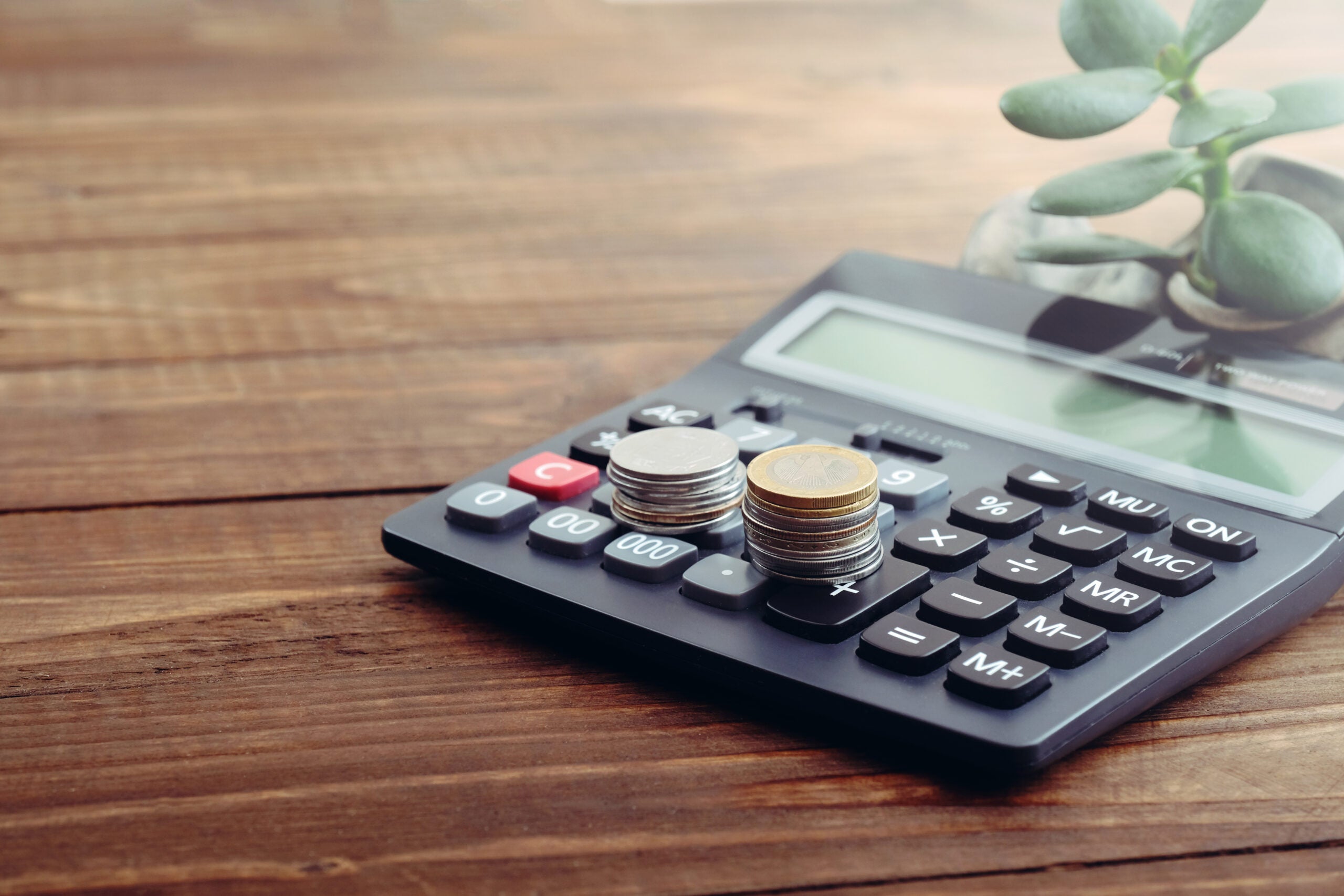 Calculator, coins of euro, money tree on wooden desk. Concept of growing money, money saving, financial investment, nature and finance, stock of cash