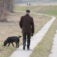 an older man walking a dog