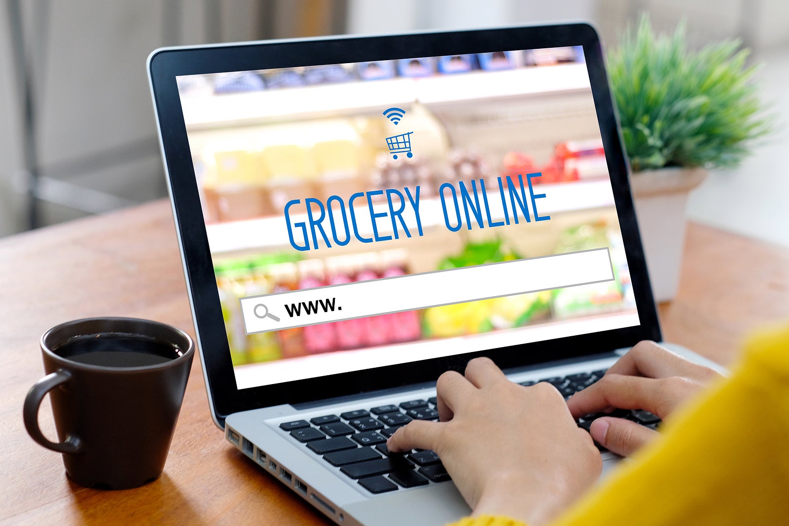 Grocery online shop to order food delivery from supermarket, Woman hands using laptop computer for shopping grocery store online web, www. on search bar e commerce website template, business technology