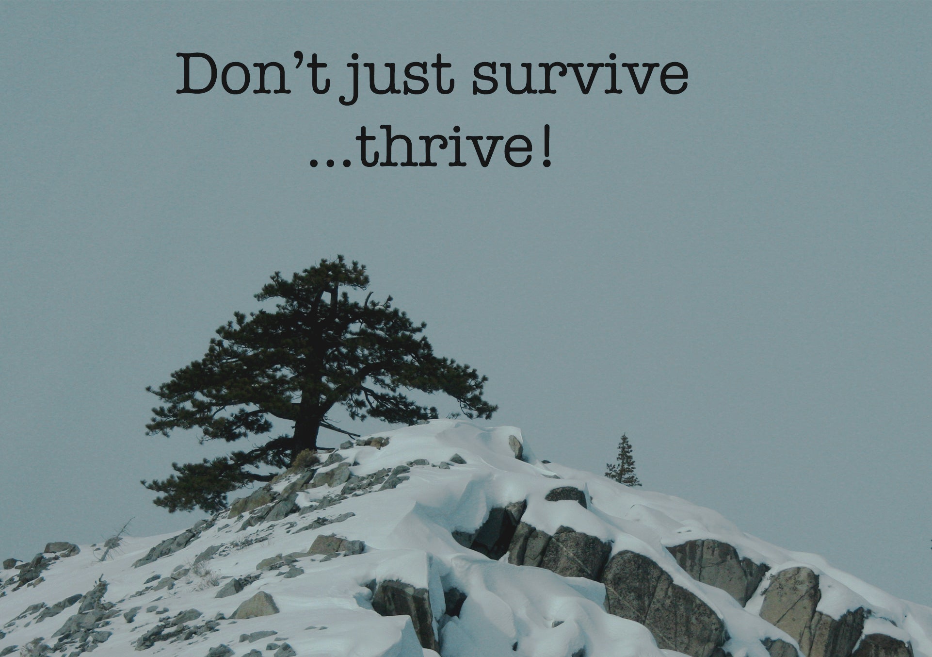 Single pine tree thriving atop a snow capped mountain with the text "Don't just survive...thrive!"
