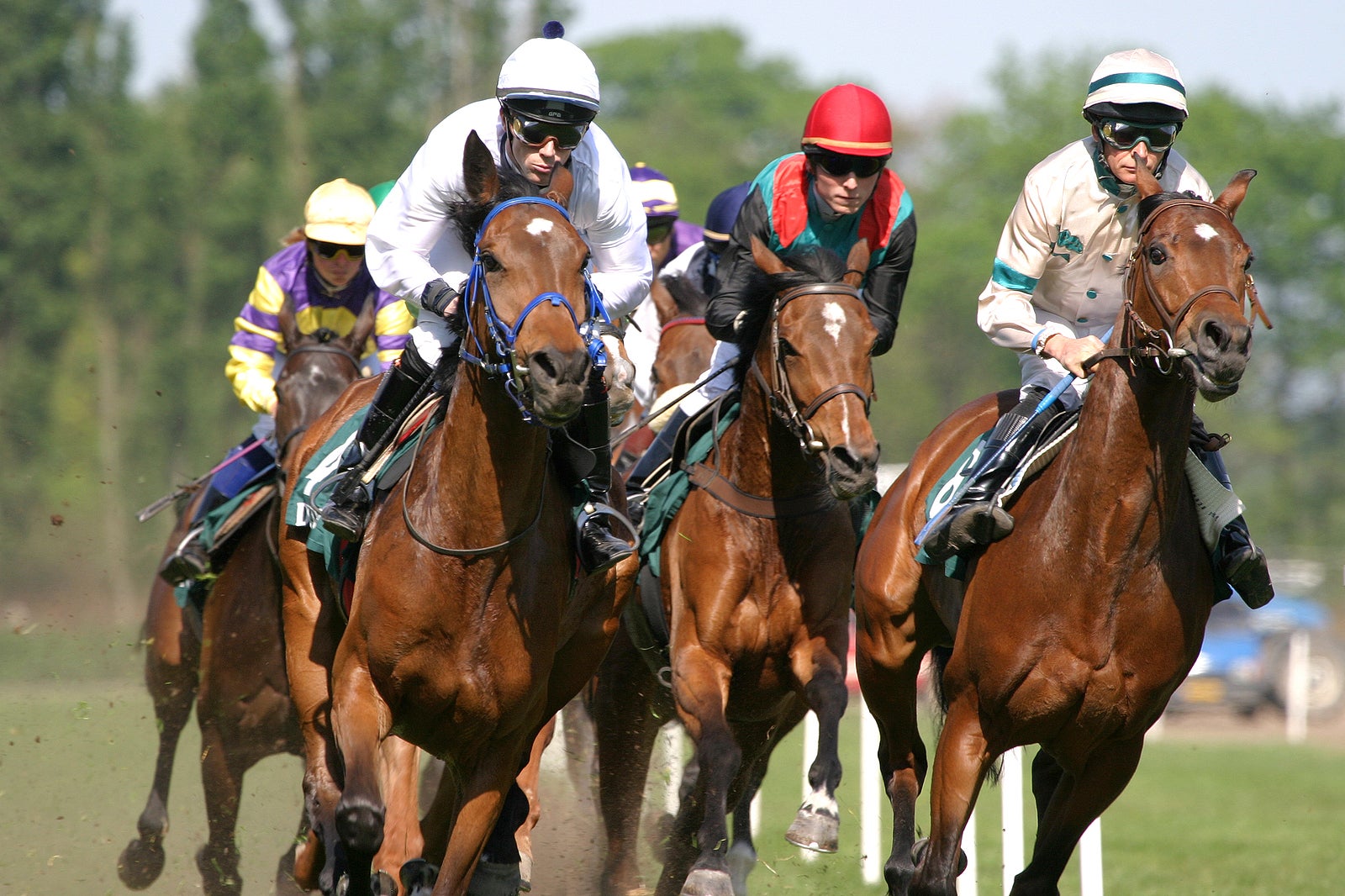 horses and jockeys running fast on the race-track