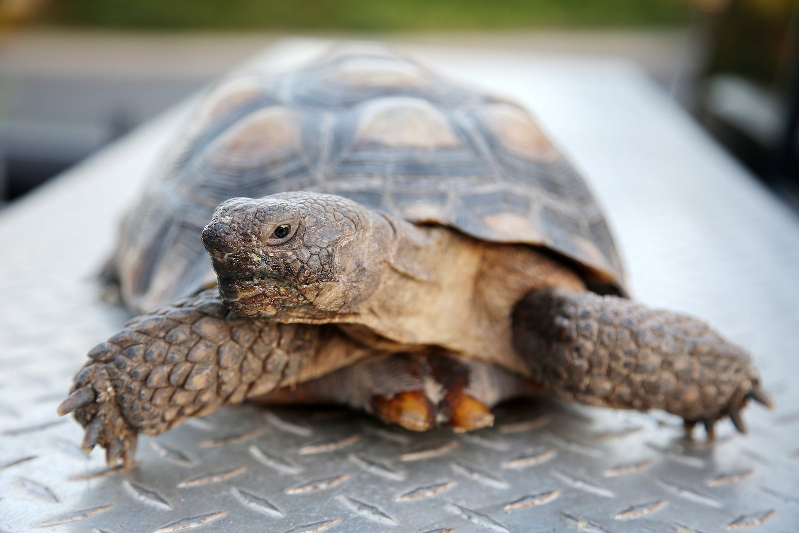 5 Common Causes Why Your Website is Slow 