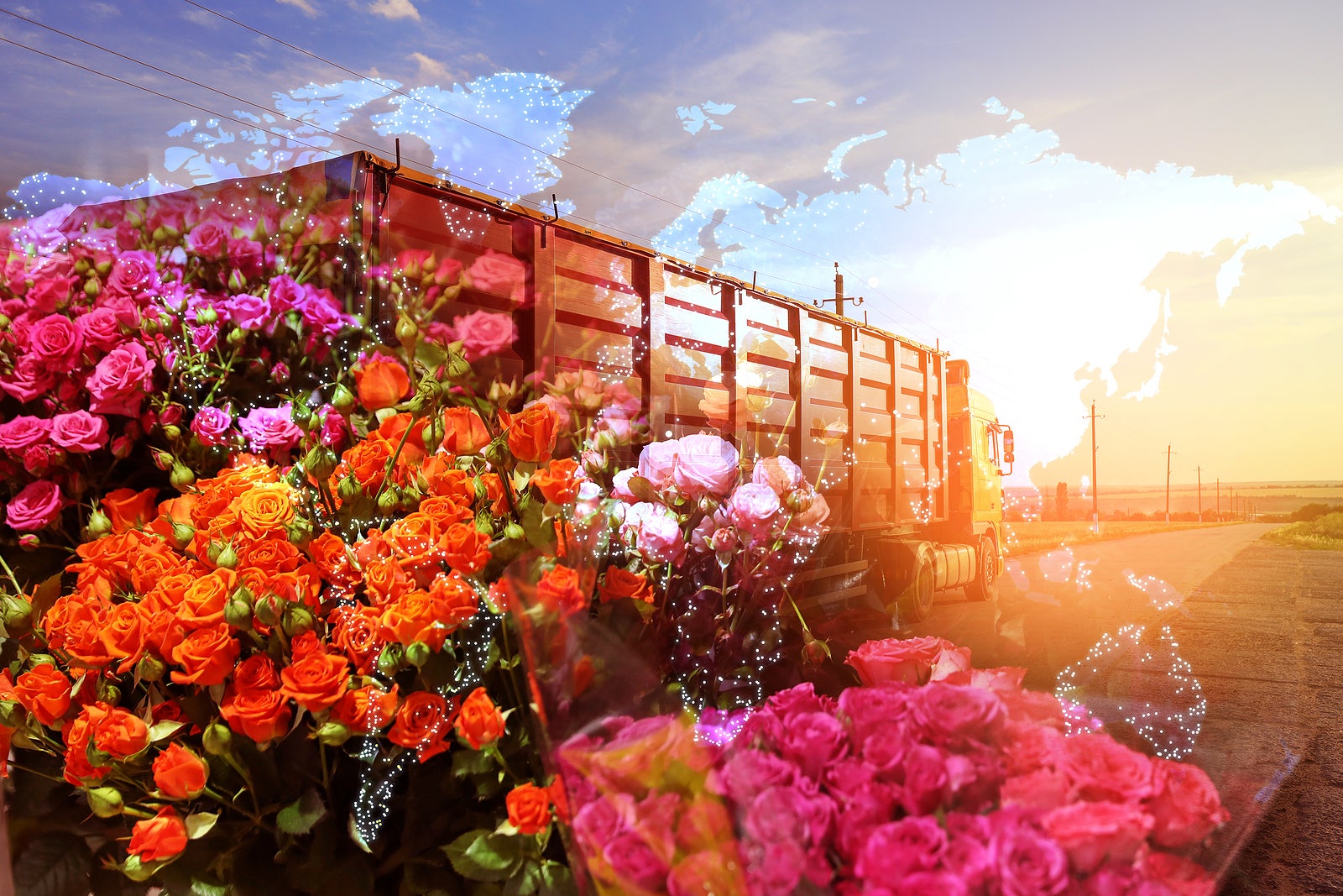 Multiple exposure of truck, flowers and world map. Wholesale concept