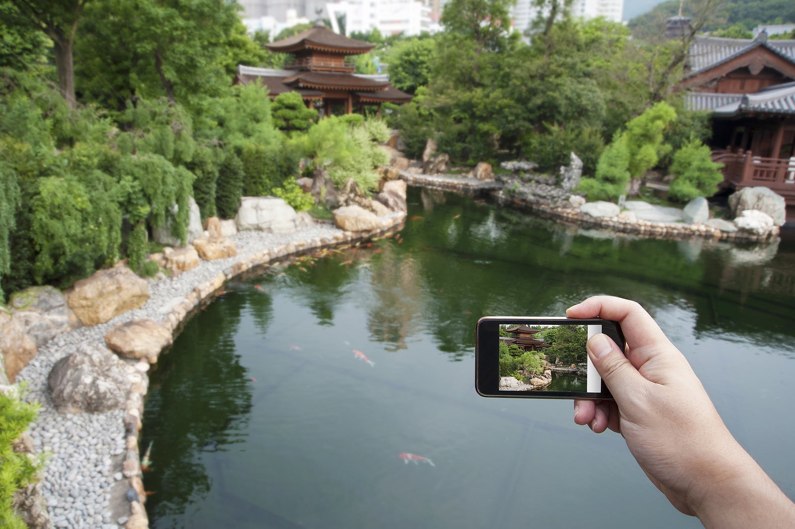 Taking Pictures with smartphone in Hong Kong