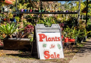 a pop up store for plants