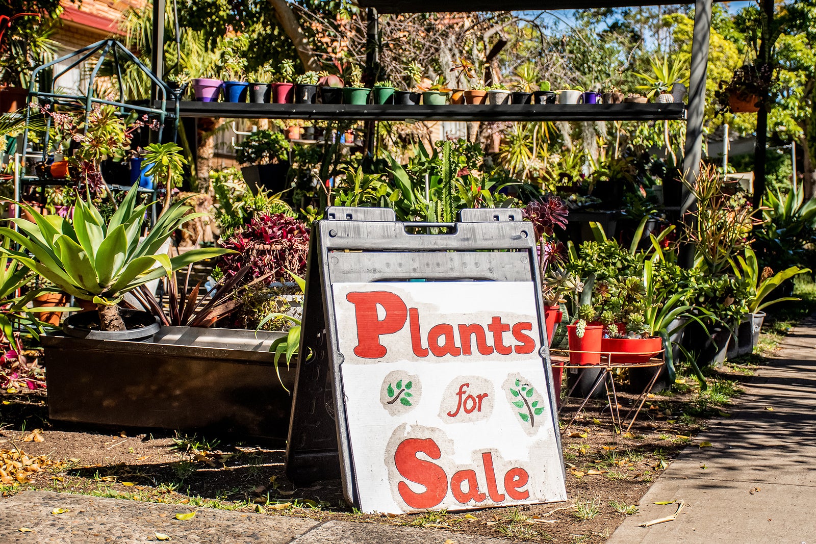 Plants for sale sign in the street. Homegrown plants and flowers pop up shop near the residential house on the street. self-employment business and hobby