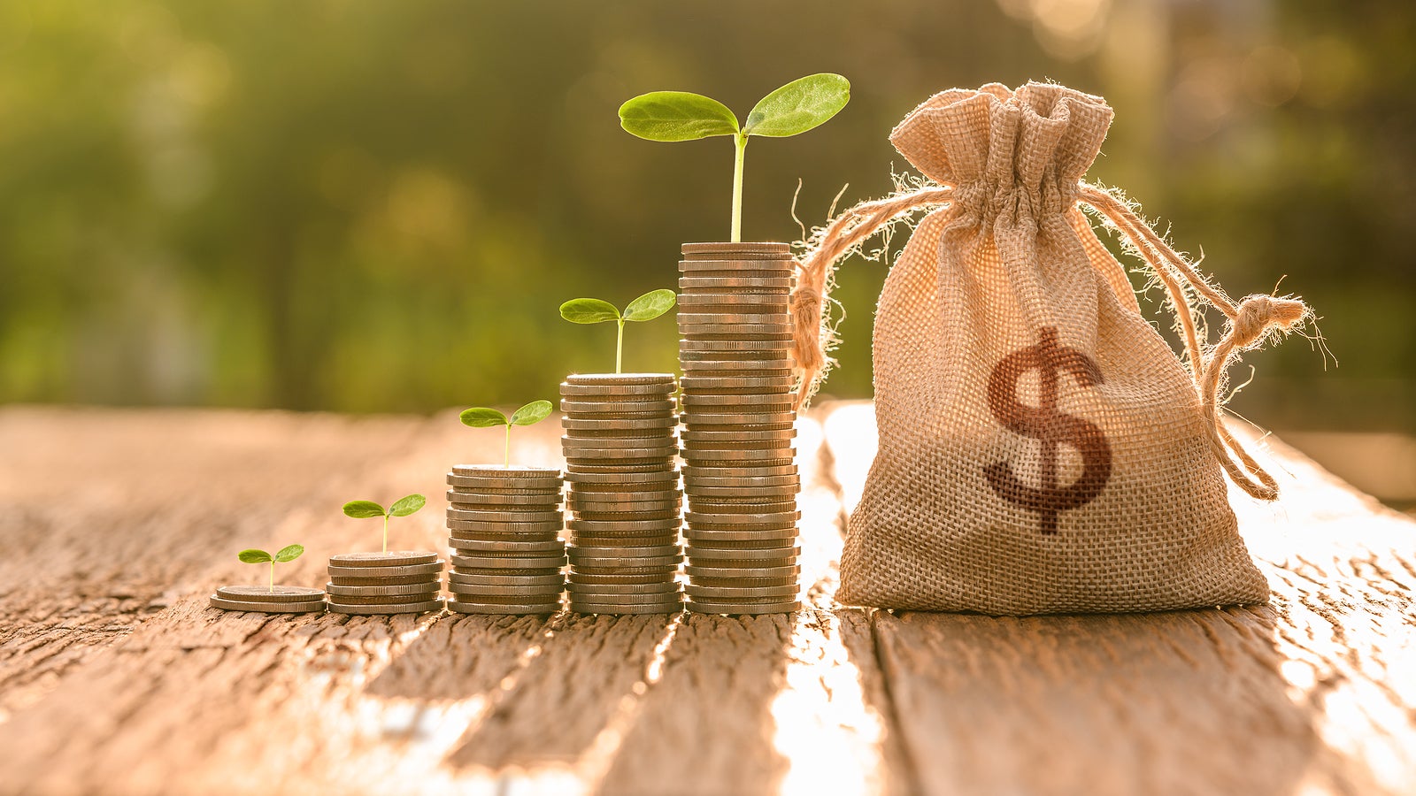 stacks of coins with plants growing from them