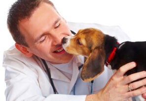 a veterinarian enjoying the company of a beagle puppy