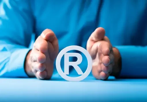 intellectual property protection