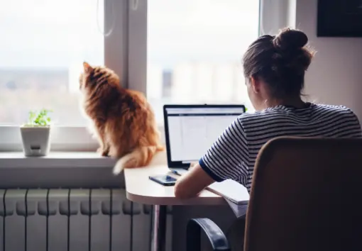 a woman working next to her cat in her home office