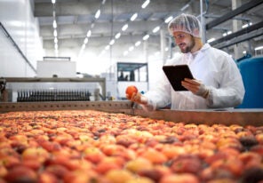 a food factory worker inspecting the product