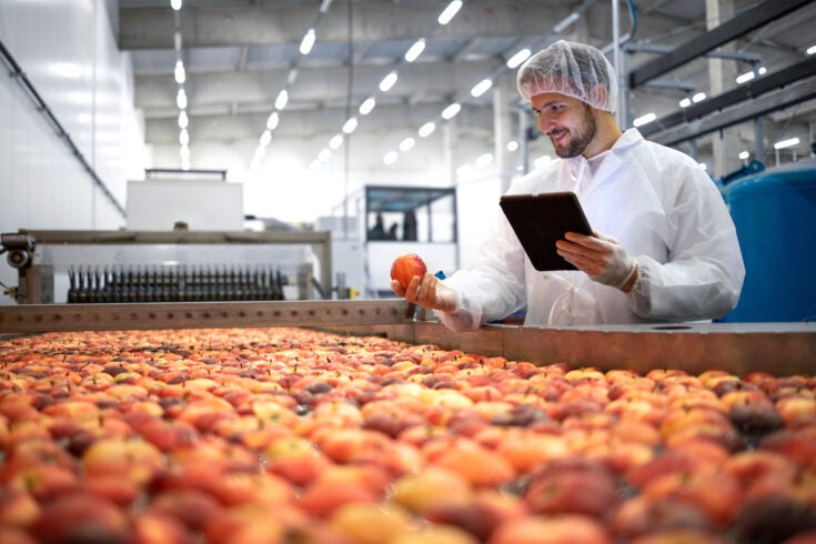 a food factory worker inspecting the product