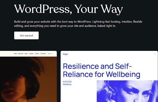 Text Description of Wordpress website