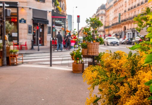 General street view from Paris, the French capital. Typical French architecture and urban view.