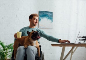 Disabled man with french bulldog on knees holding cup and working on laptop