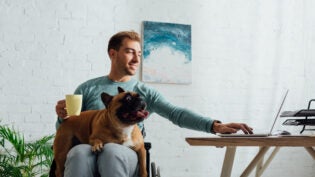 Disabled man with french bulldog on knees holding cup and working on laptop