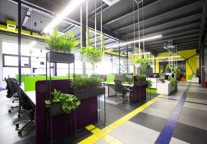 Empty workplaces in modern office with plants, rental office