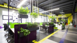 Empty workplaces in modern office with plants, rental office