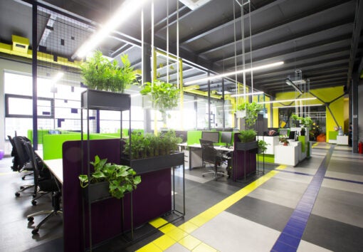 Empty workplaces in modern office with plants, rental office