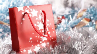 shopping bag and christmas decoration