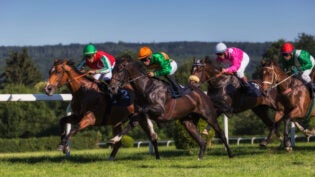 Jockeys on their horses.